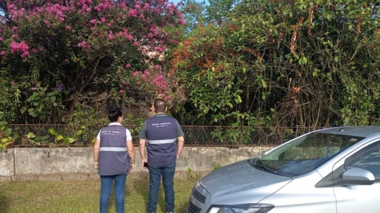 Vigilância reforça combate ao Aedes aegypti em Capivari de Baixo