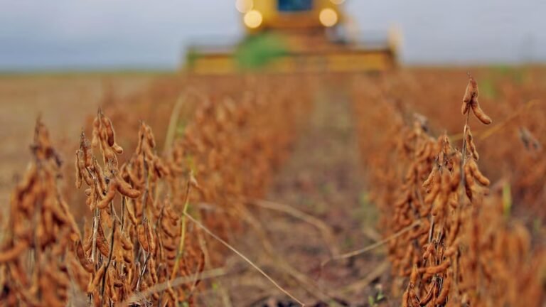 Bloqueio no Oriente Médio faz disparar preços de fertilizantes e grãos no mundo