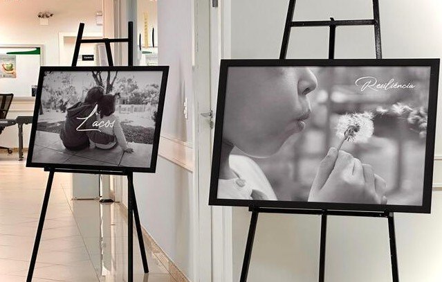 Adoção Tardia SC a