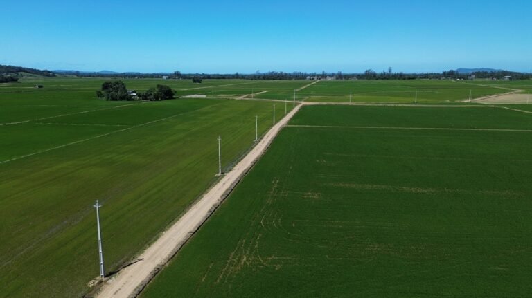 Santa Catarina recebe R$ 280 milhões para ampliar e modernizar rede elétrica