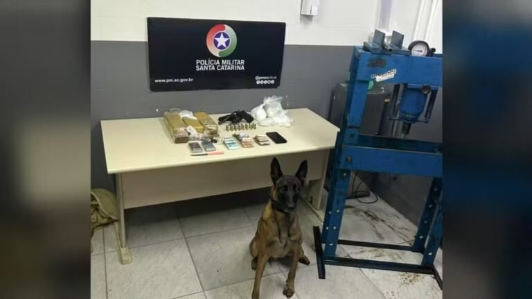 Adolescente sequestrada é resgatada em Criciúma após pedir socorro à mãe pelo celular