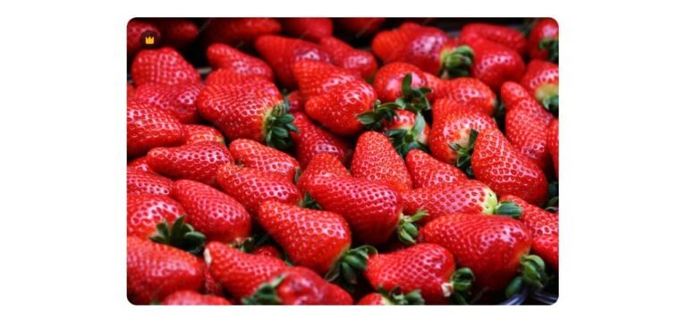 Nova regra do morango divide produtores e governo