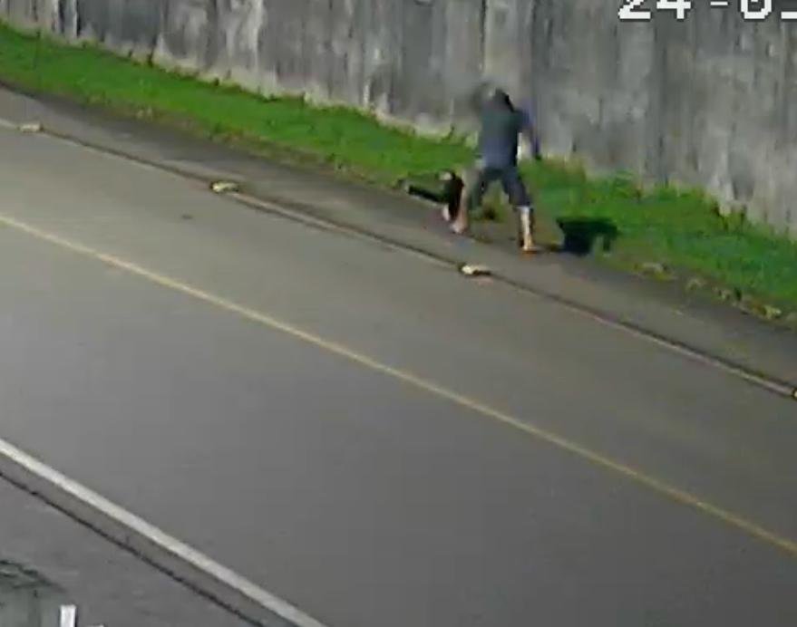 POLÍCIA CIVIL IDENTIFICA SUSPEITO DE MATAR TAMANDUÁ NO SUL DO ESTADO