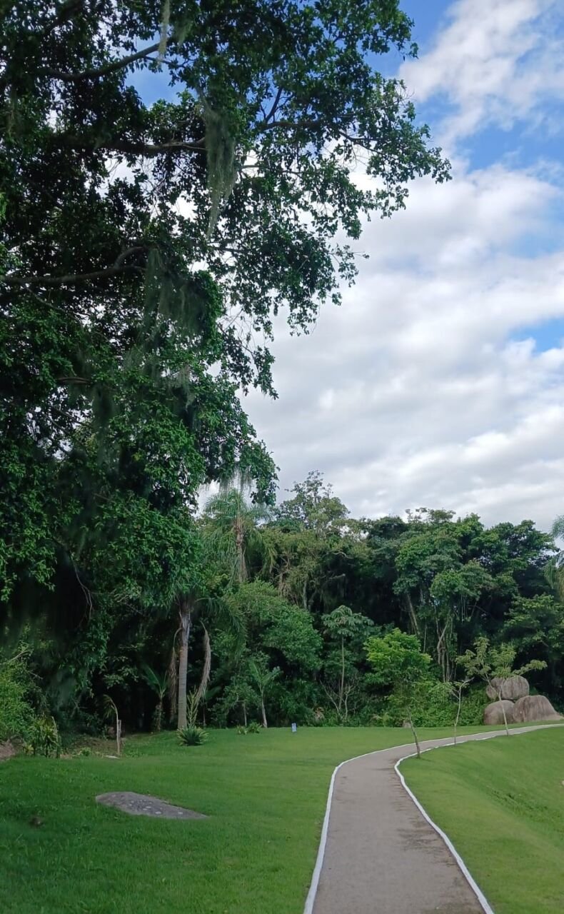 Previsão do tempo para 02 03 2026 a