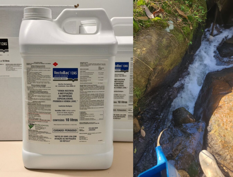 Tubarão distribui larvicida biológico para controle do mosquito borrachudo