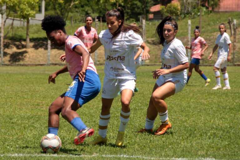 Alesc recebe projetos sobre segurança, saúde e direitos sociais em SC