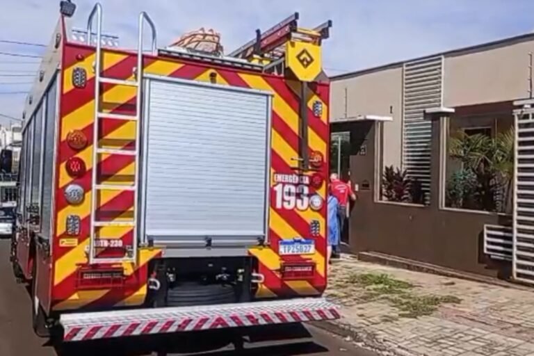 Menino de 4 anos morre após ataque de rottweiler em Chapecó