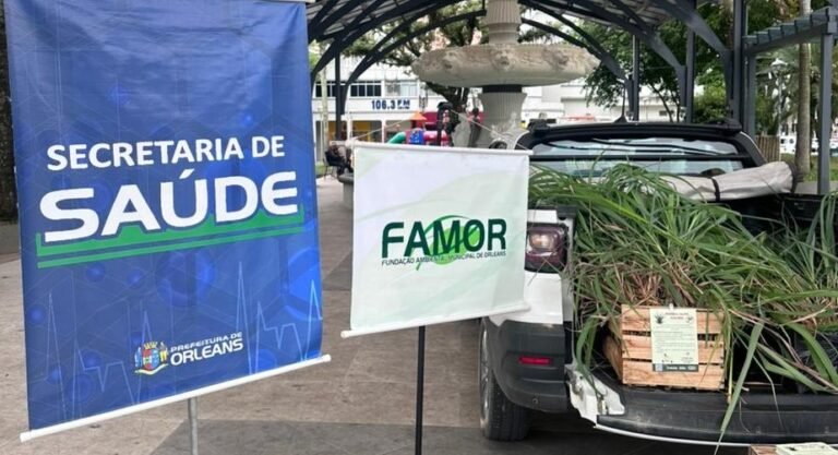 Orleans distribui mais de 350 mudas de citronela para reforçar prevenção contra insetos