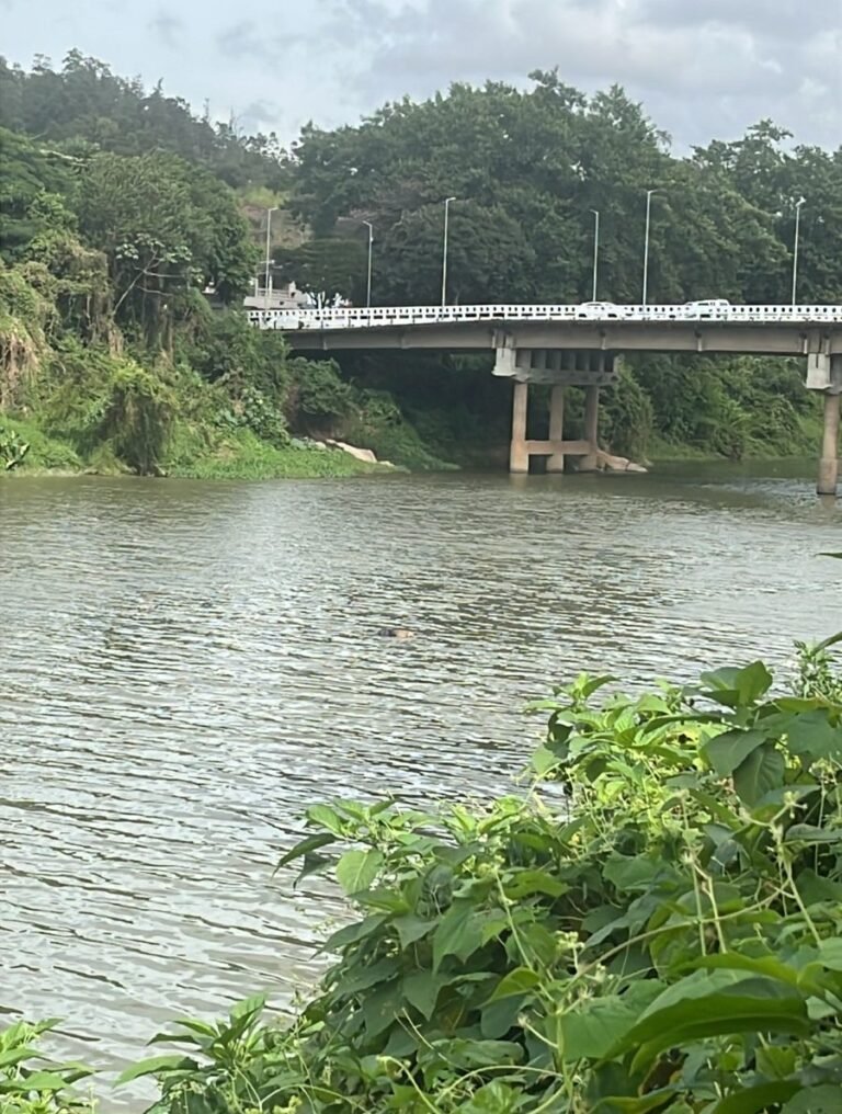 Corpo é encontrado no Rio Tubarão, no bairro Morrotes