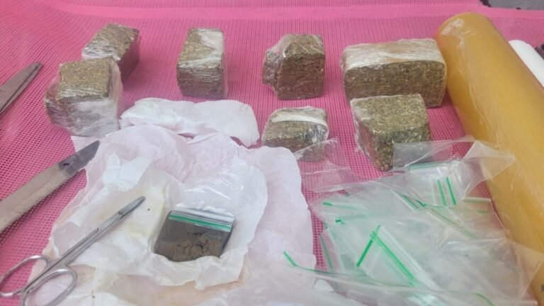 Polícia Civil apreende drogas durante operação no sul da Ilha em Florianópolis