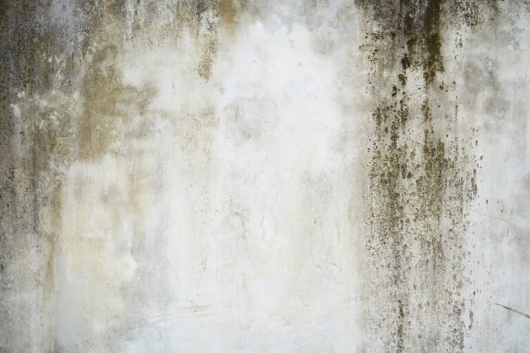 o Inverno e os imóveis mal ventilados