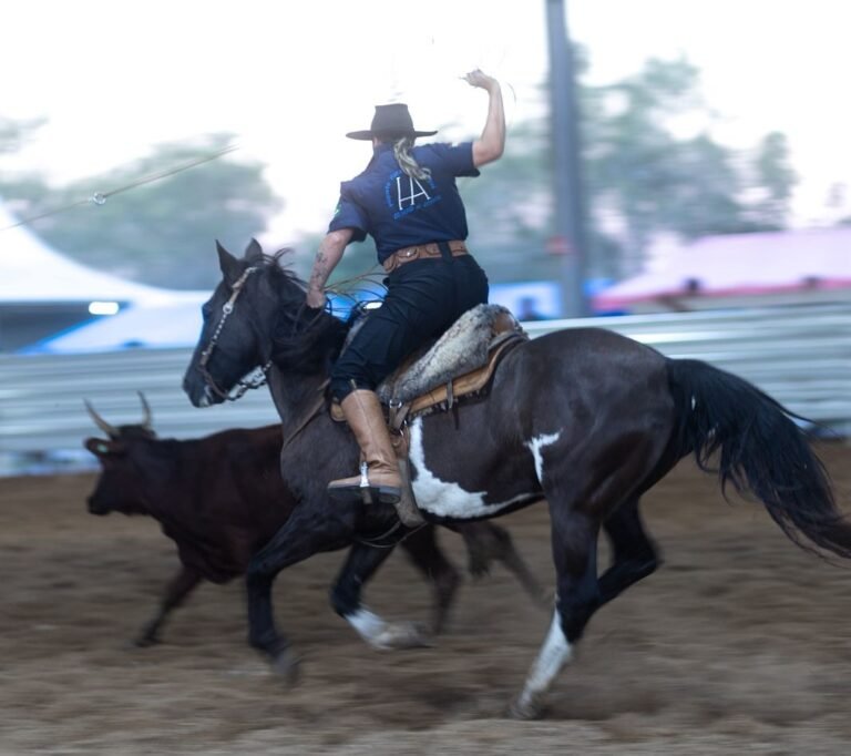 rodeio crioulo São João do Sul