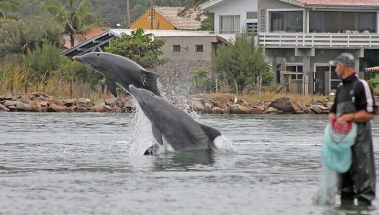 Filme sobre a pesca com botos será exibido gratuitamente em Laguna