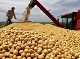 O agro sustenta o Brasil, mas enfrenta crise silenciosa