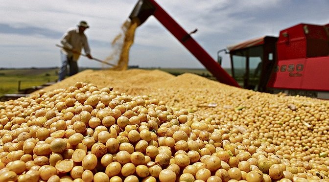 agricultura soja