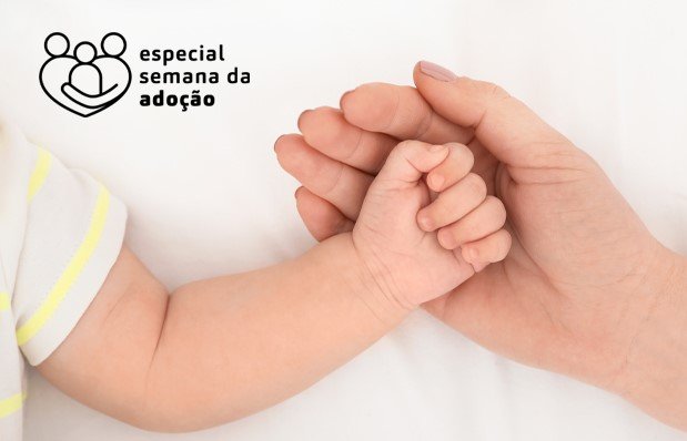Entrega Legal garante acolhimento e sigilo em SC a