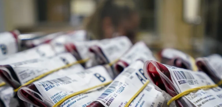 Hemosc convoca famílias para doação de sangue em maio