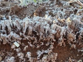 frio intenso na Serra Catarinense