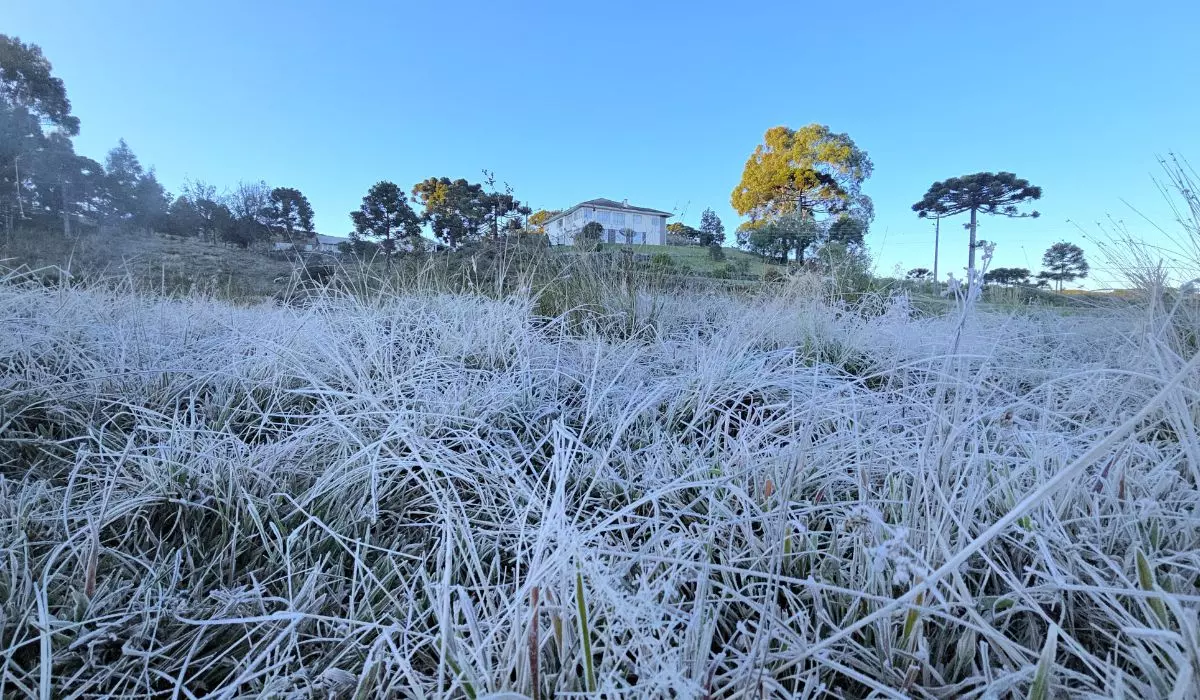 geada-vale-do-caminhos-da-neve