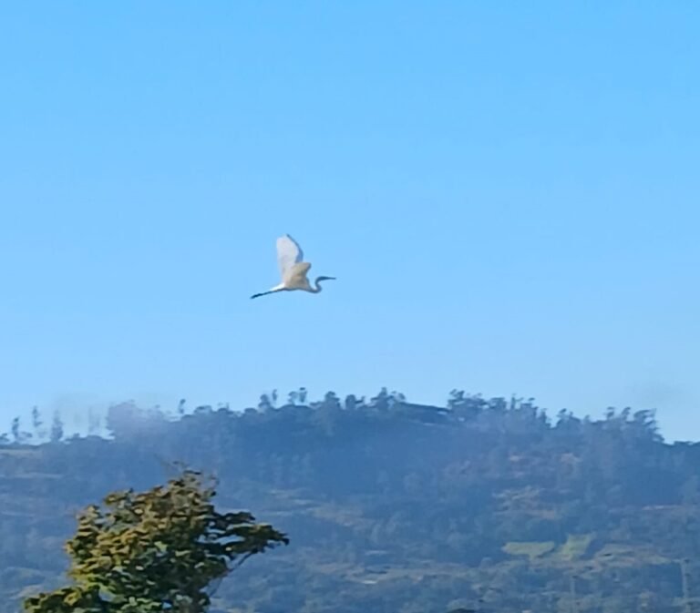 Sul de SC terá quinta-feira de tempo firme e temperaturas amenas