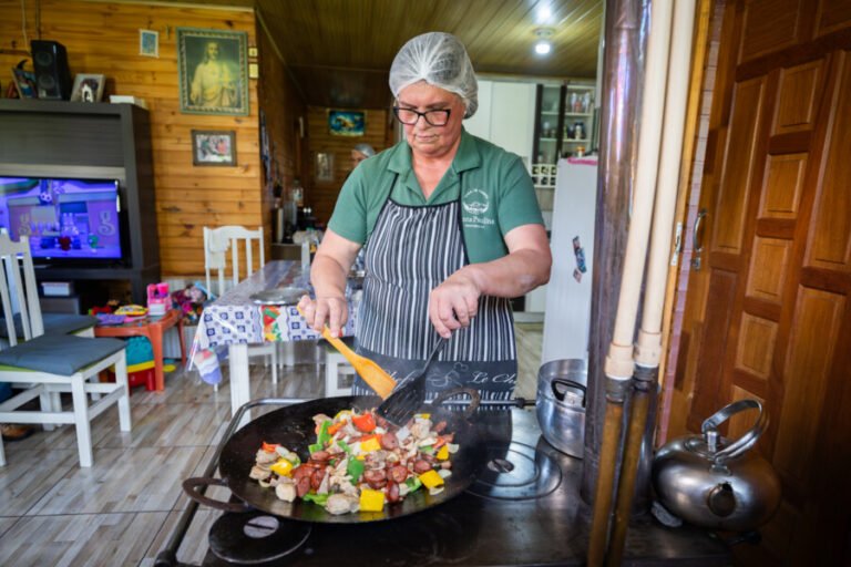 Produção de pinhão fortalece economia e tradição em Santa Catarina