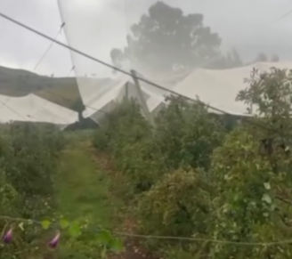 ventania em São Joaquim