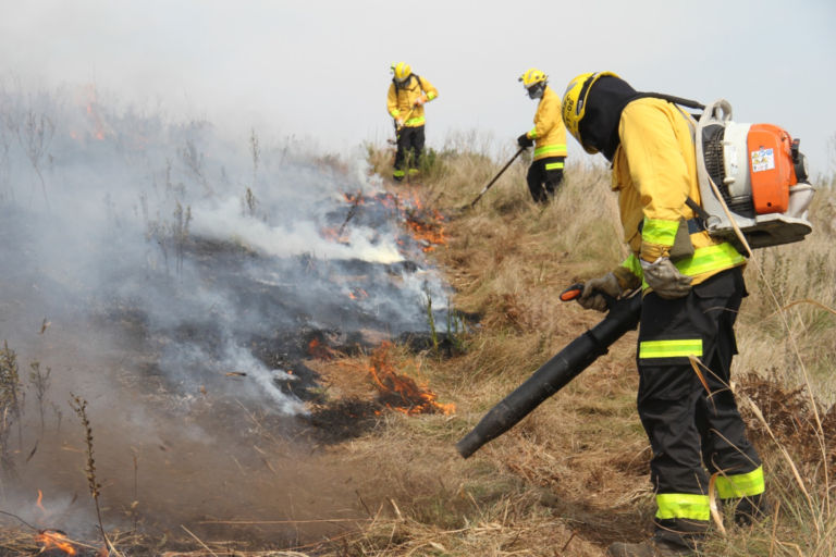 Ocorrências com fogueiras crescem 61% em Santa Catarina e Bombeiros reforçam alerta para festas juninas