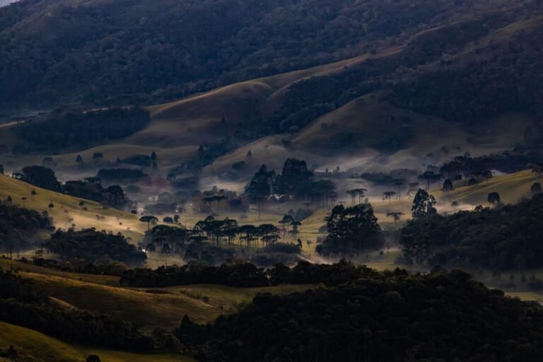 Onda de frio pode levar temperaturas a -5°C e chance de neve em Santa Catarina