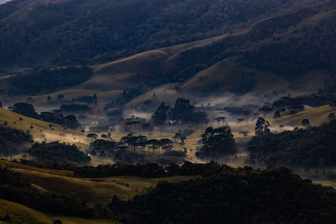 Defesa Civil de Santa Catarina emite aviso para onda de frio ao longo desta semana Alerta para onda de frio em SC