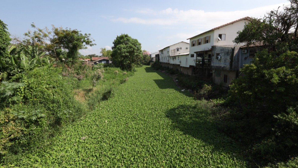 Limpeza do Rio da Madre começa em Tubarão revitalização do Rio da Madre