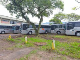 Nova empresa assume transporte coletivo de Tubarão a partir deste sábado (13)