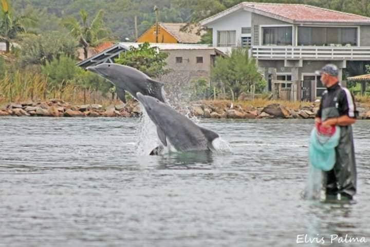 botos e os homens previsão do tempo Santa Catarina