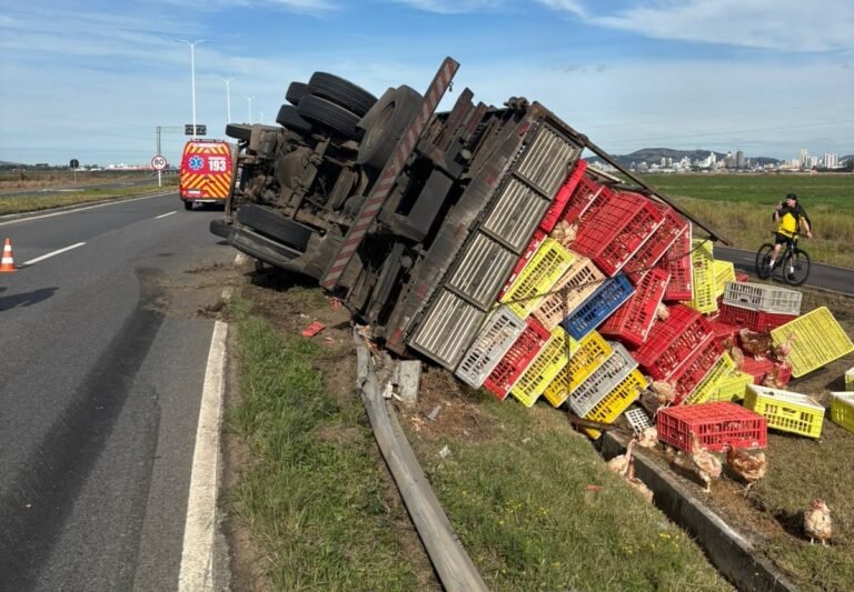 Caminhão carregado com frangos sai da pista e tomba na Rodovia Ivane Fretta, em Tubarão