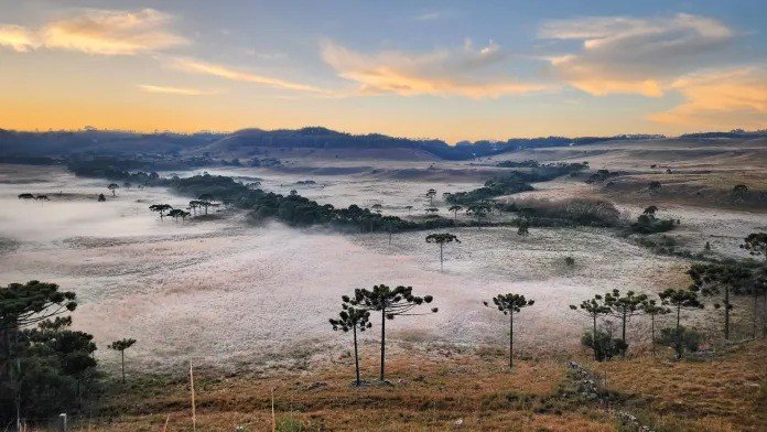 Geada transforma as manhãs de inverno na Serra Catarinense