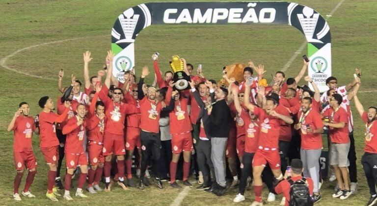 Hercílio Luz é campeão da Série B do Catarinense e garante retorno à elite
