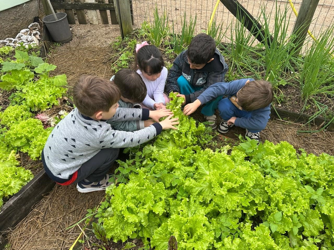 Projeto Hortas Pedagógicas Escola de Gravatal é reconhecida em prêmio nacional de ecologia
