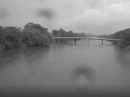 Defesa Civil mantém alerta para chuva intensa; Rio Tubarão segue em nível normal
