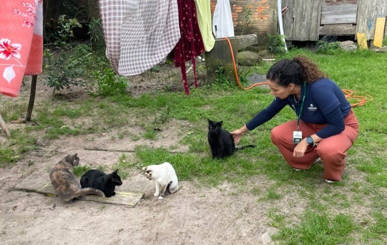 Bem estar e proteção animal em Laguna