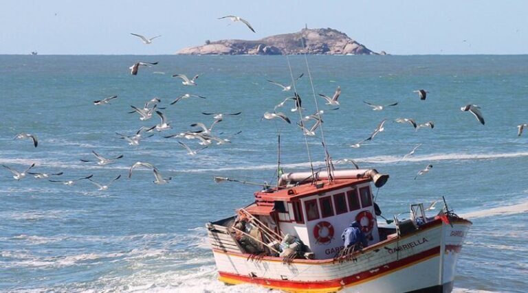 regularização de embarcações de pesca