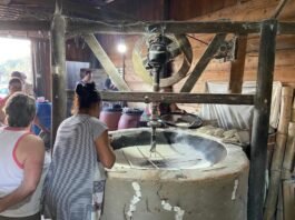 Festa da Farinha celebra tradição e sabores da cultura de Caputera
