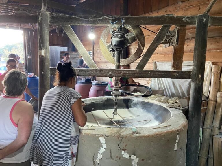 Festa da Farinha celebra tradição e sabores da cultura de Caputera