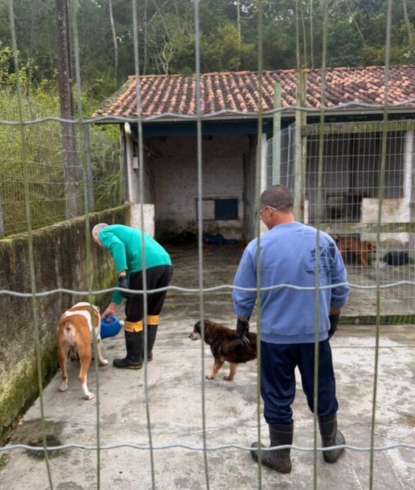 Projeto Reabilita Cão Projeto Reabilita Cão