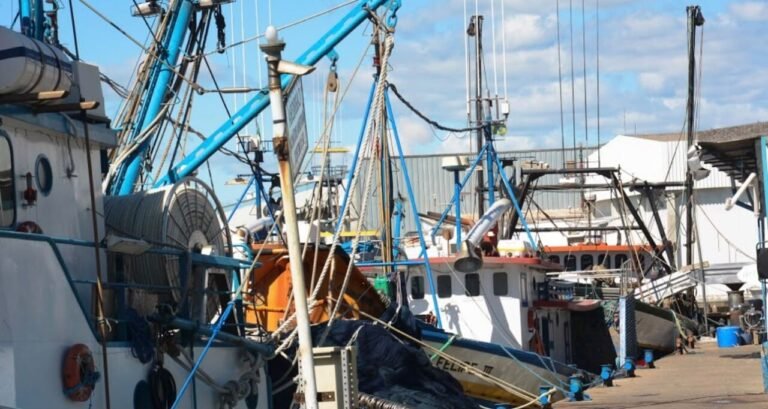 Indústria pesqueira de Laguna abre sete vagas para PCD