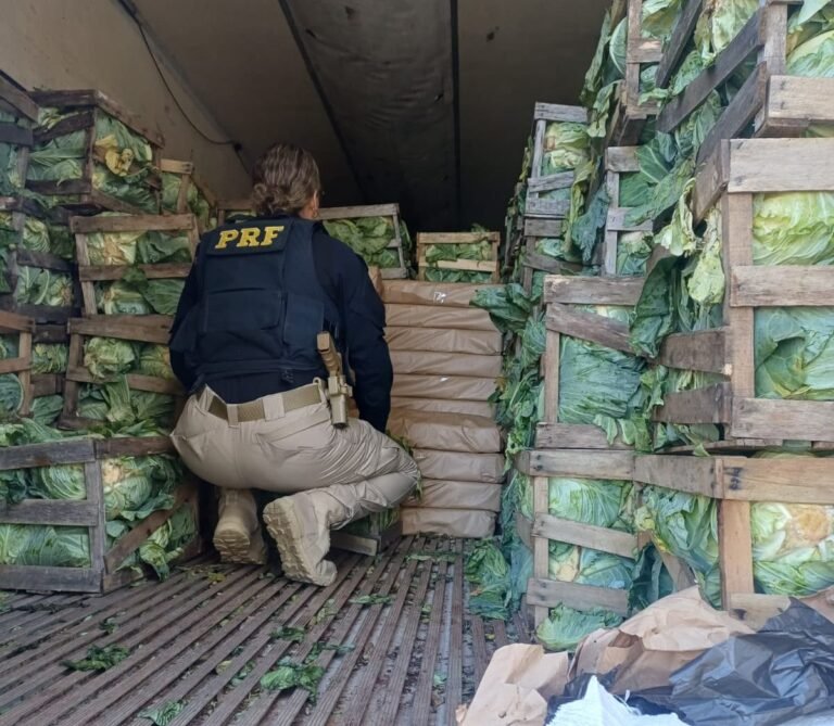 Carga com 2,46 toneladas de maconha tinha Florianópolis como destino em SC