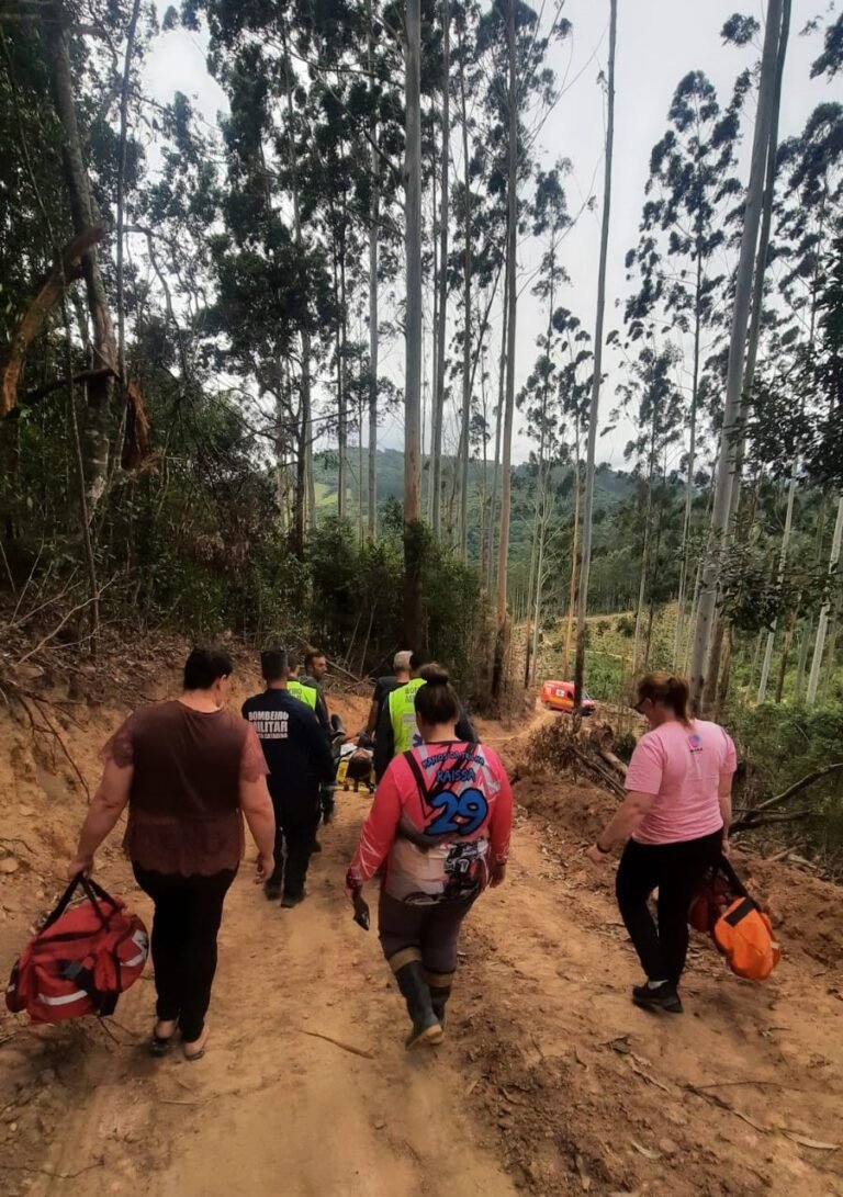 Trabalhador é atingido por tora de eucalipto em São Martinho