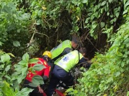 Bombeiros resgatam idosa após queda em ribanceira em Braço do Norte idosa resgatada em Braço do Norte