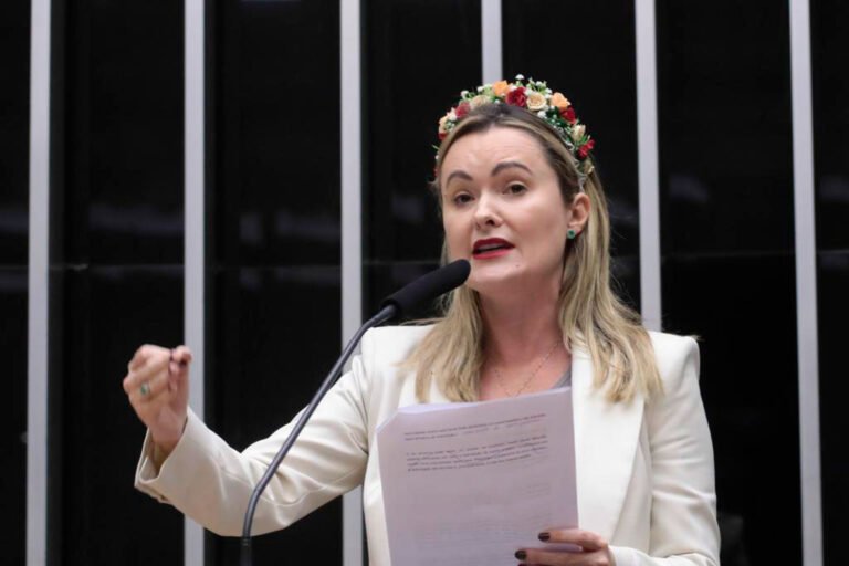 SC elege 16 deputados federais; PL leva sete vagas e Júlia Zanatta bate recorde