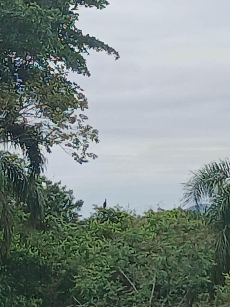 Previsão do tempo Sul de SC