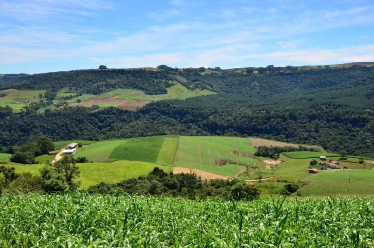 Pelo Estado – Agricultores e pescadores podem para receber apoio do SC Rural 2 